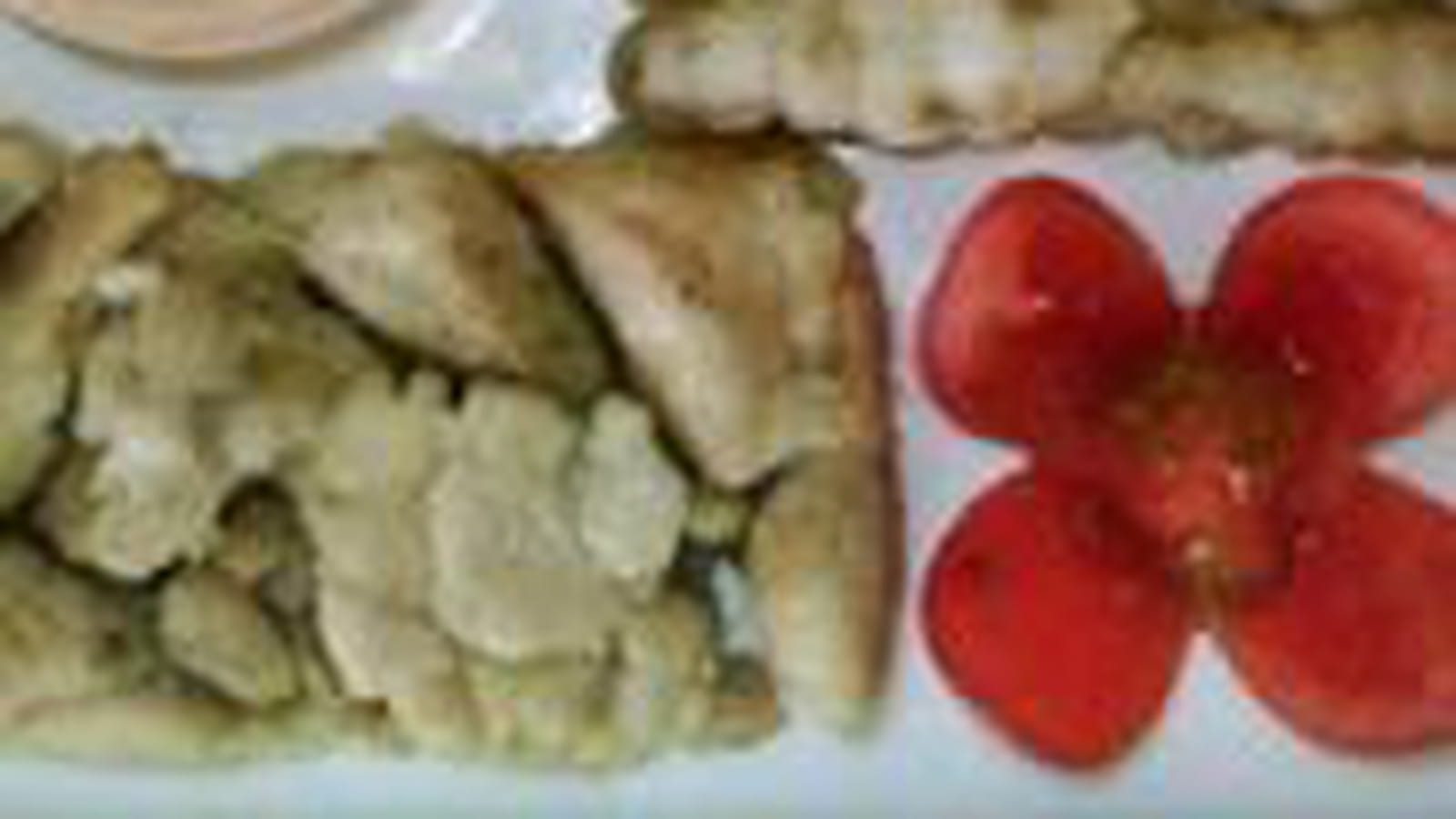 Ris de veau et crosnes