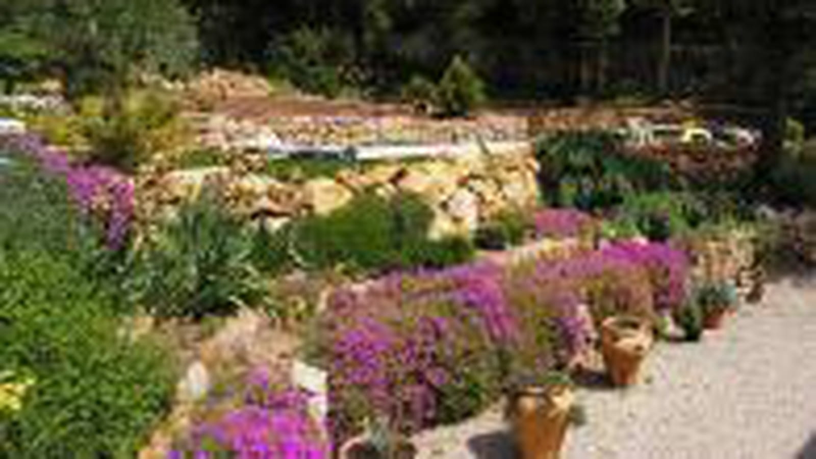 Un jardin méditerranéen