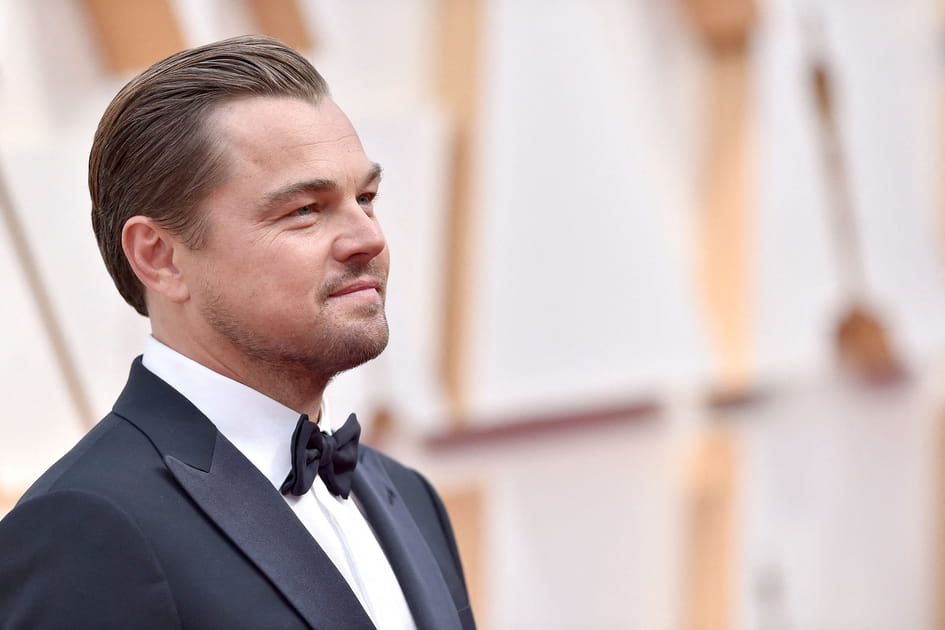 Les cheveux gomin&eacute;s de Leonardo DiCaprio