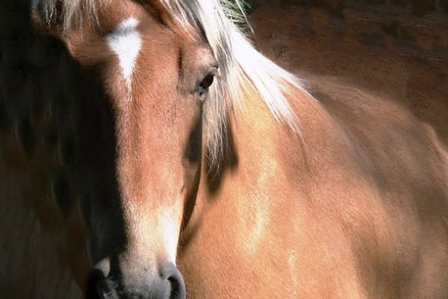 Dans la p&eacute;nombre