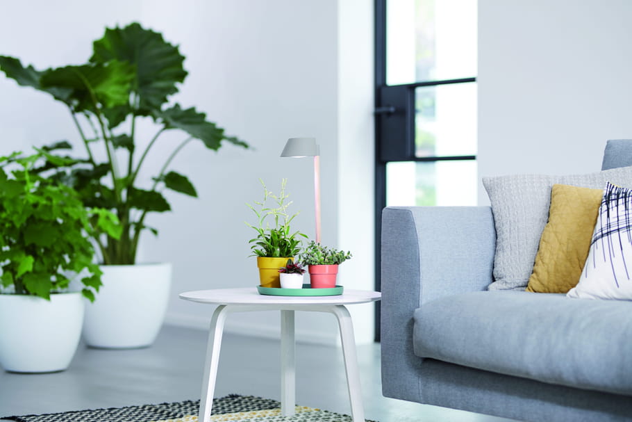 Des lampes pour apporter plus de lumière à vos plantes