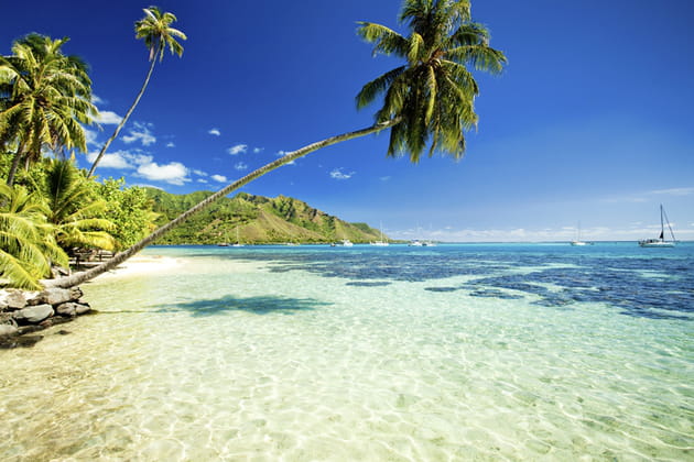 une plage de moorea istockphotos
