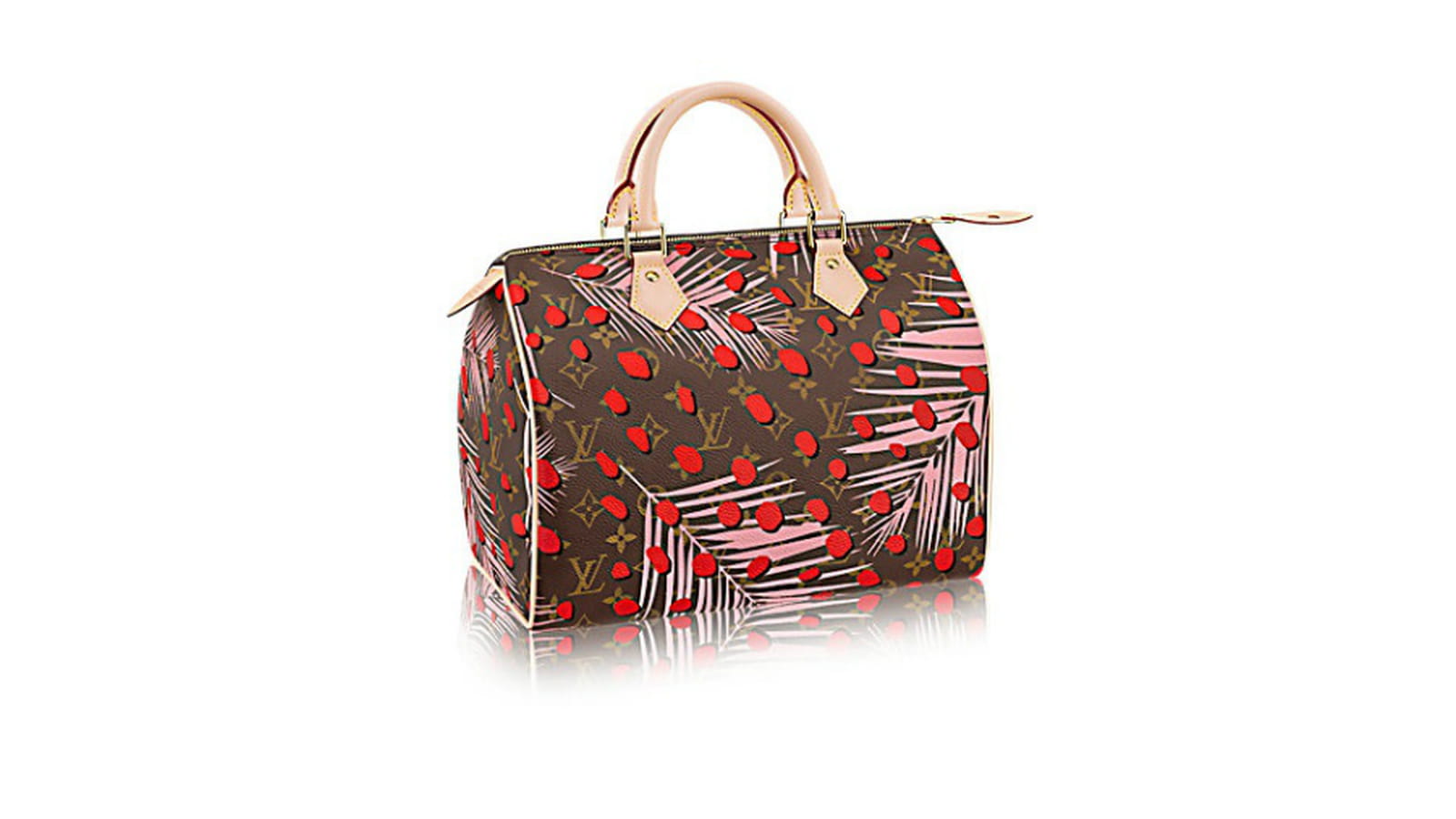 Sac Louis Vuitton