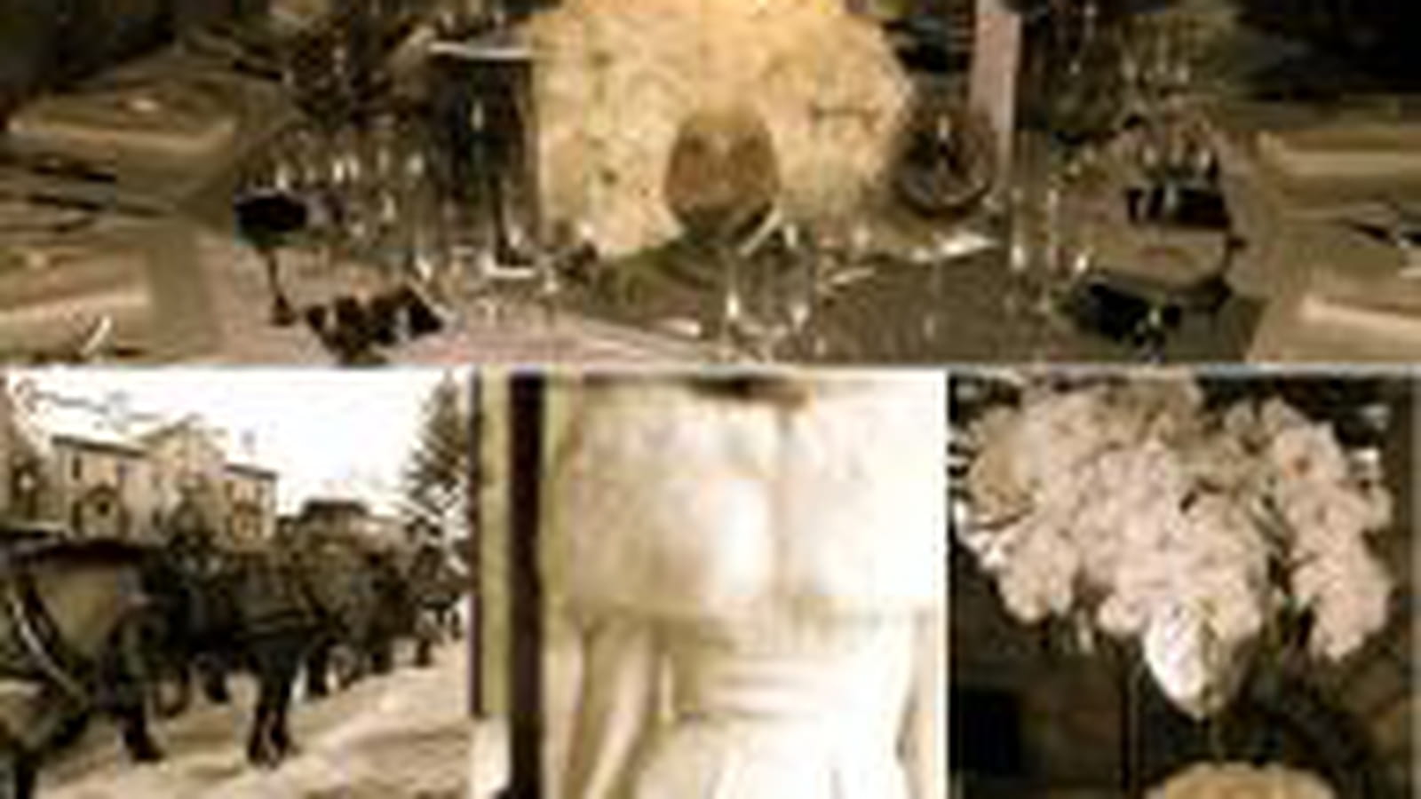 Un mariage en blanc par Ness Bethel