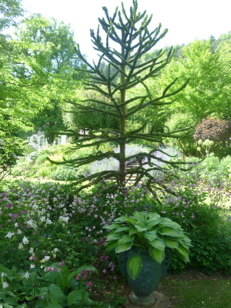 Les jardins cultivent l'histoire de leur région