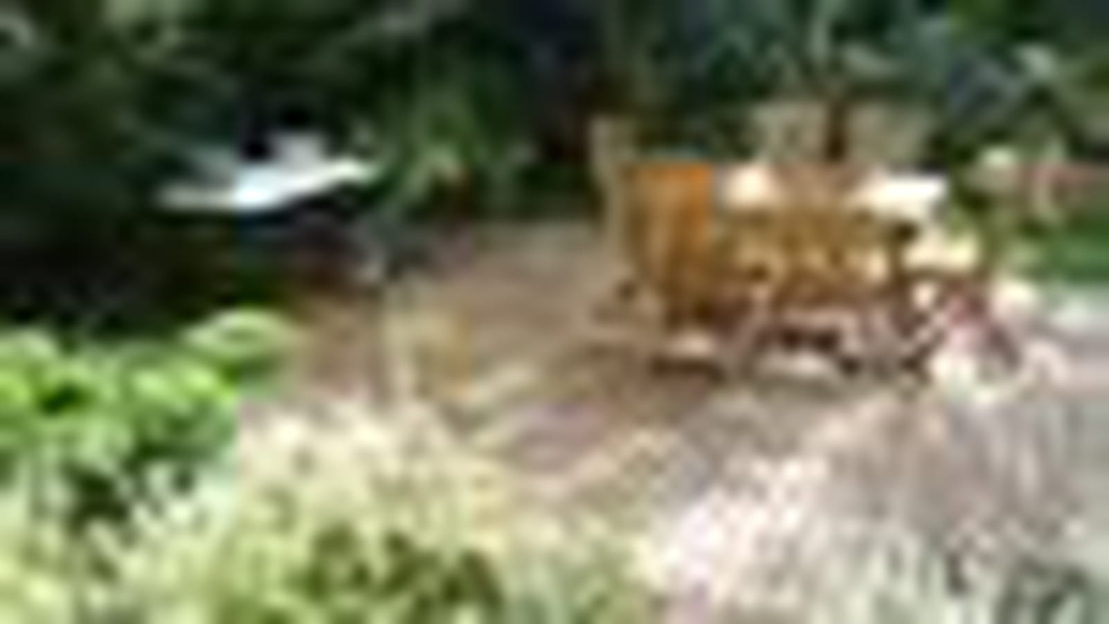 Mobilier