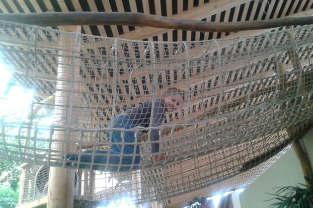 Le parcours périlleux