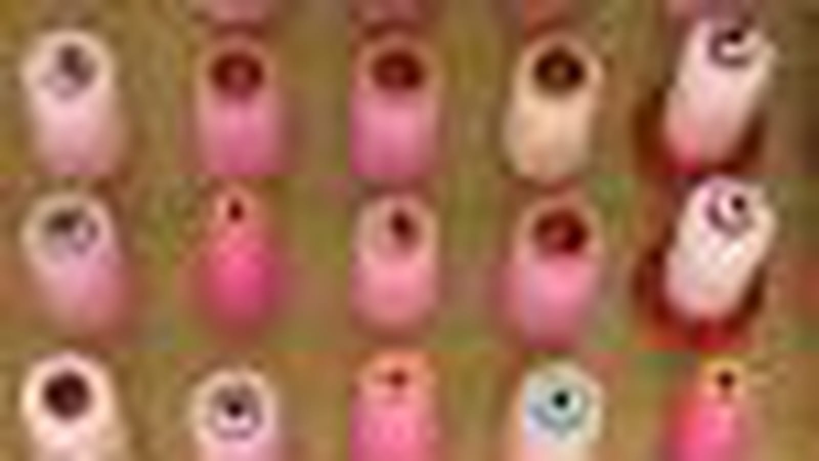 Les bobines de fils