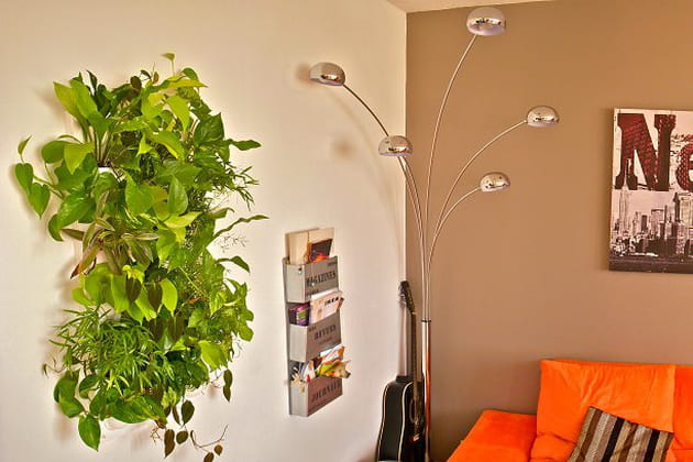 Des végétaux en suspension