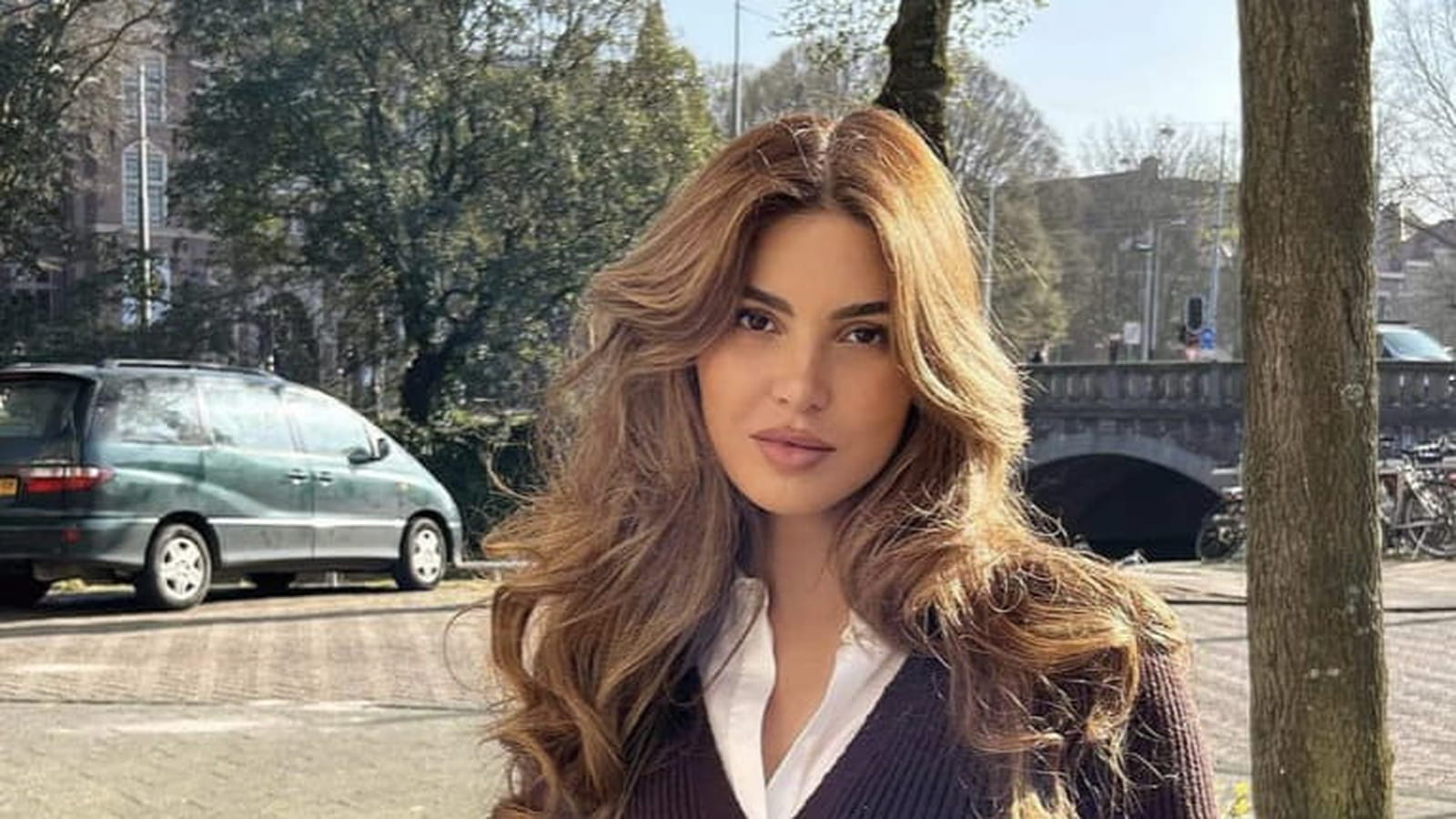 @negin_mirsalehi