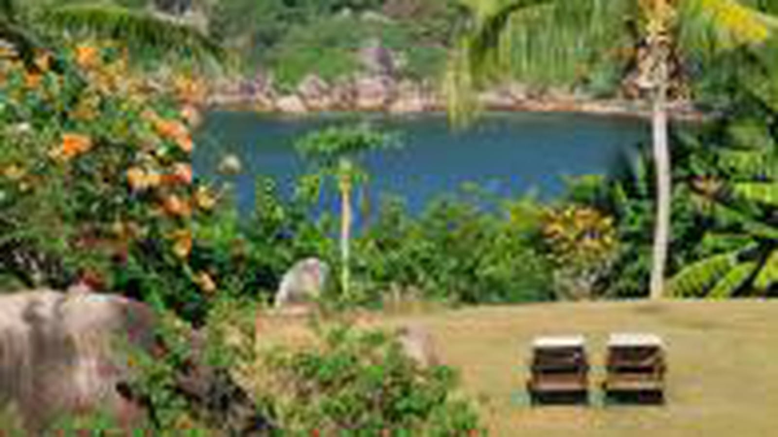 Jardin