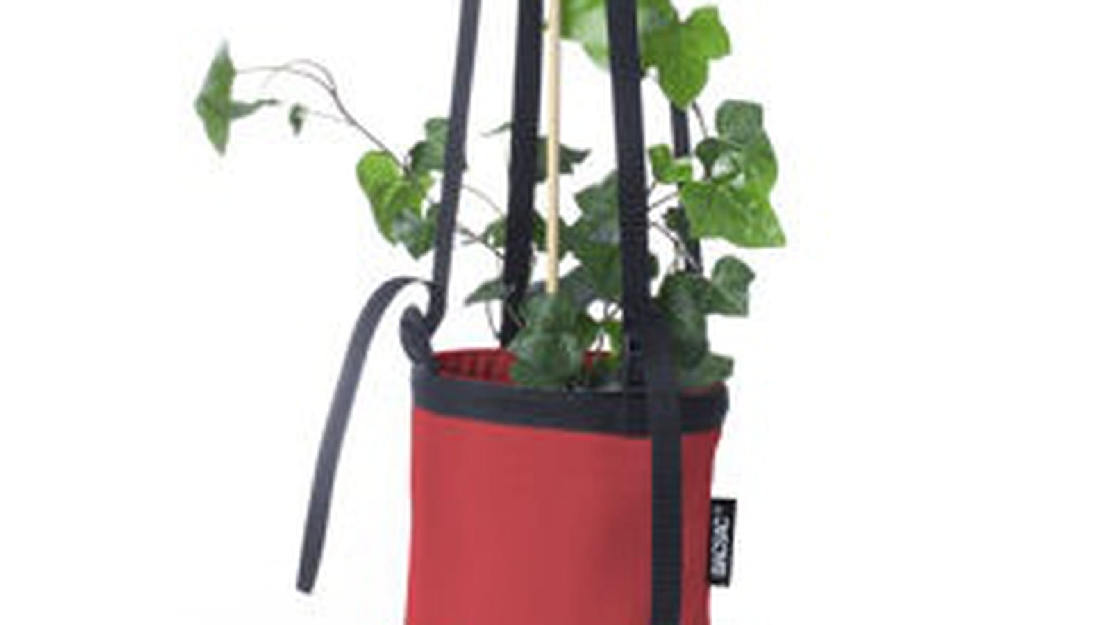 Pot tuteur de Bacsac