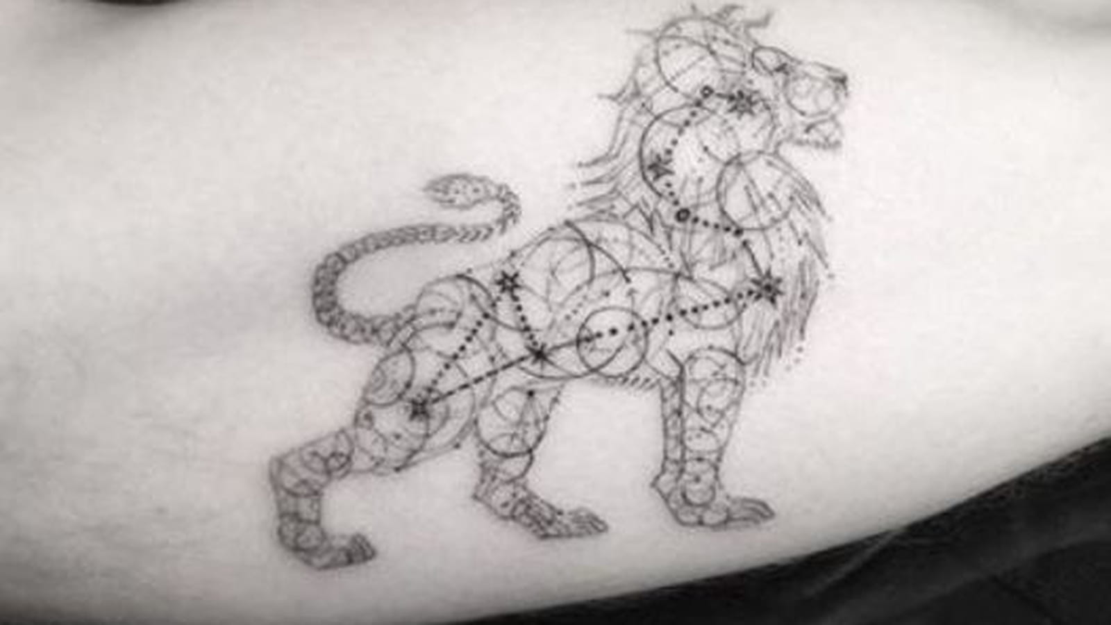 Lion céleste sur le bras