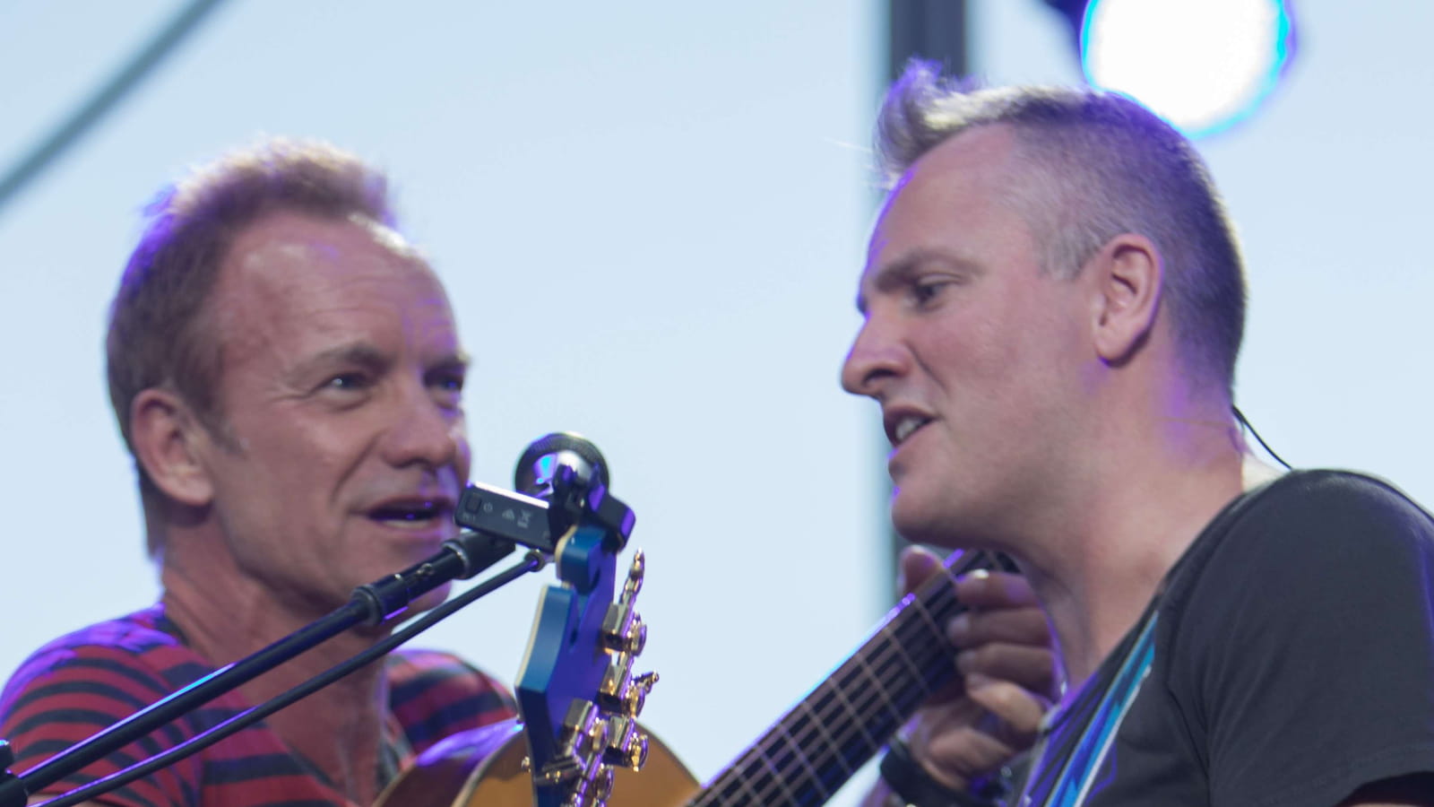 Sting