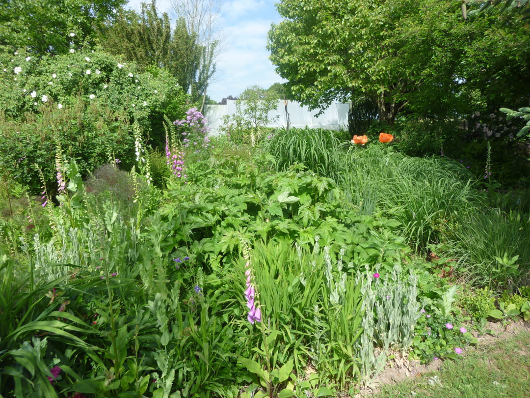 mixed-border