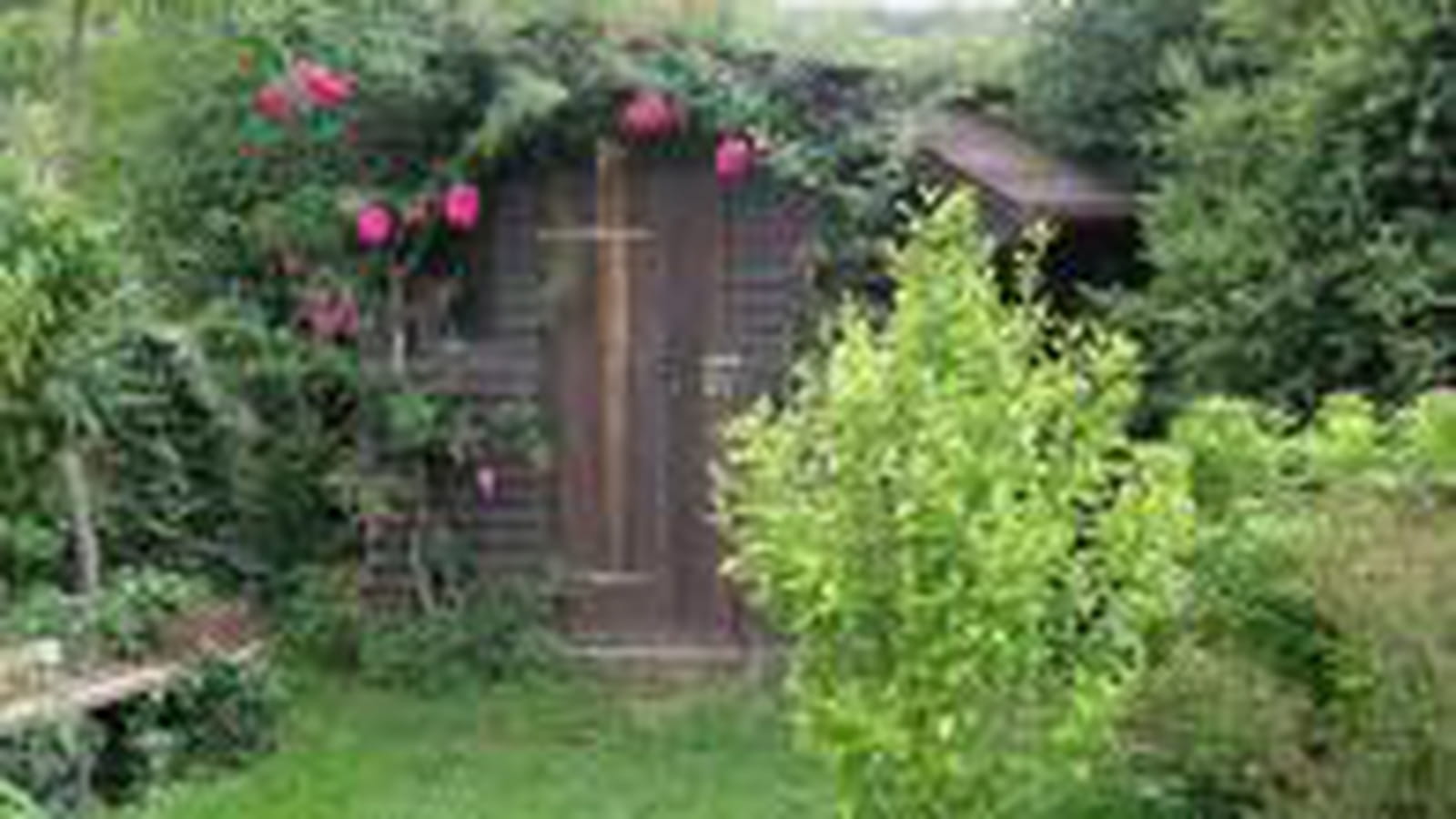Cabane au rosier