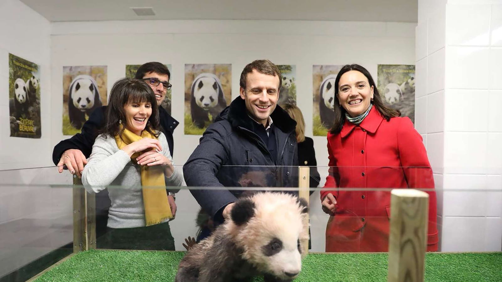 Avec Yuan Meng le panda