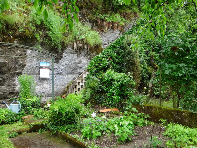 Un petit coin de verdure