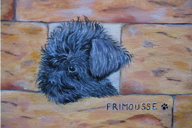 Quelle frimousse&nbsp;!