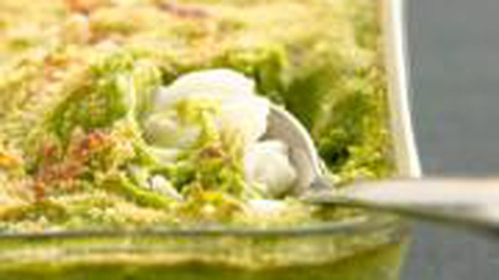 Gratin de cabillaud