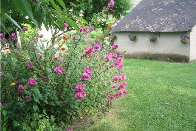 Même la soue à ses fleurs