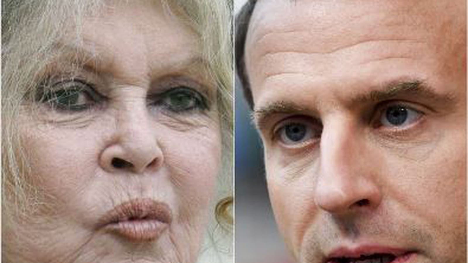 Brigitte Bardot et Emmanuel Macron