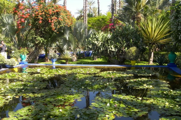 Jardin Majorelle, Maroc