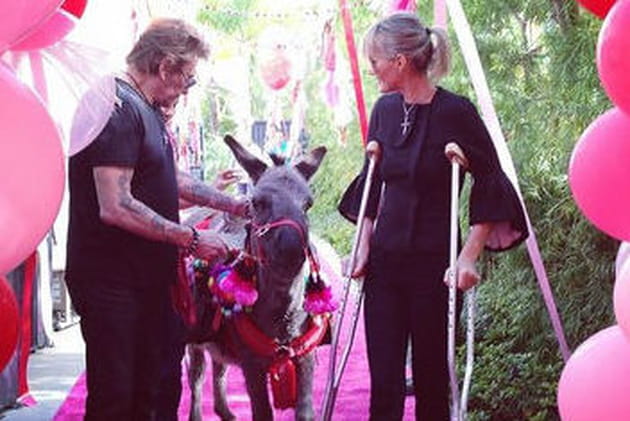 Un cadeau tout poilu pour la Saint-Valentin !