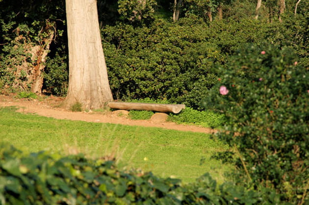 Pause printani&egrave;re