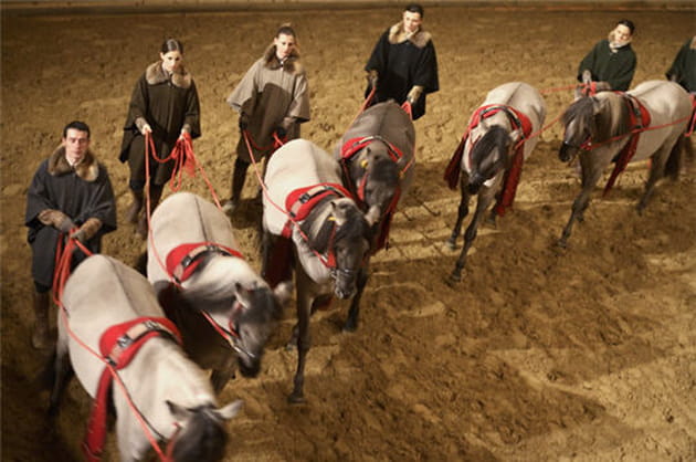 La symphonie équestre de Bartabas