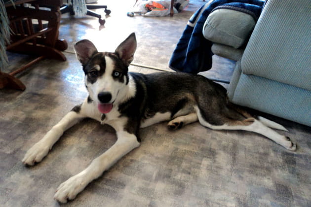 Kanji l'excit&eacute;e