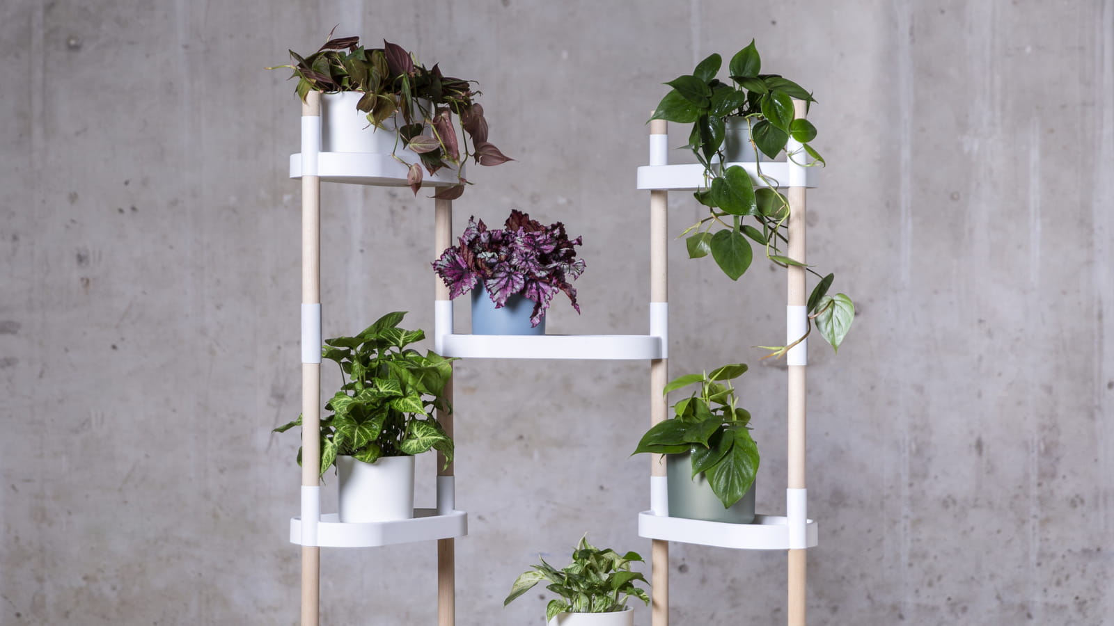 Une étagère pour plantes
