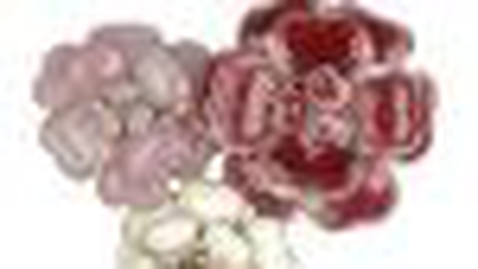 La broche "Camélias" de Chanel