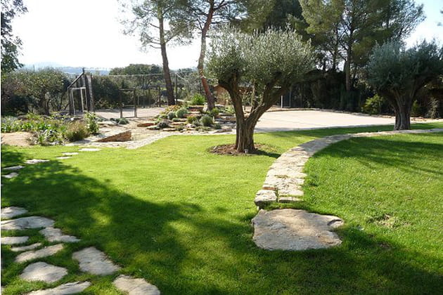 Un jardin &agrave; l'identit&eacute; proven&ccedil;ale bien marqu&eacute;e