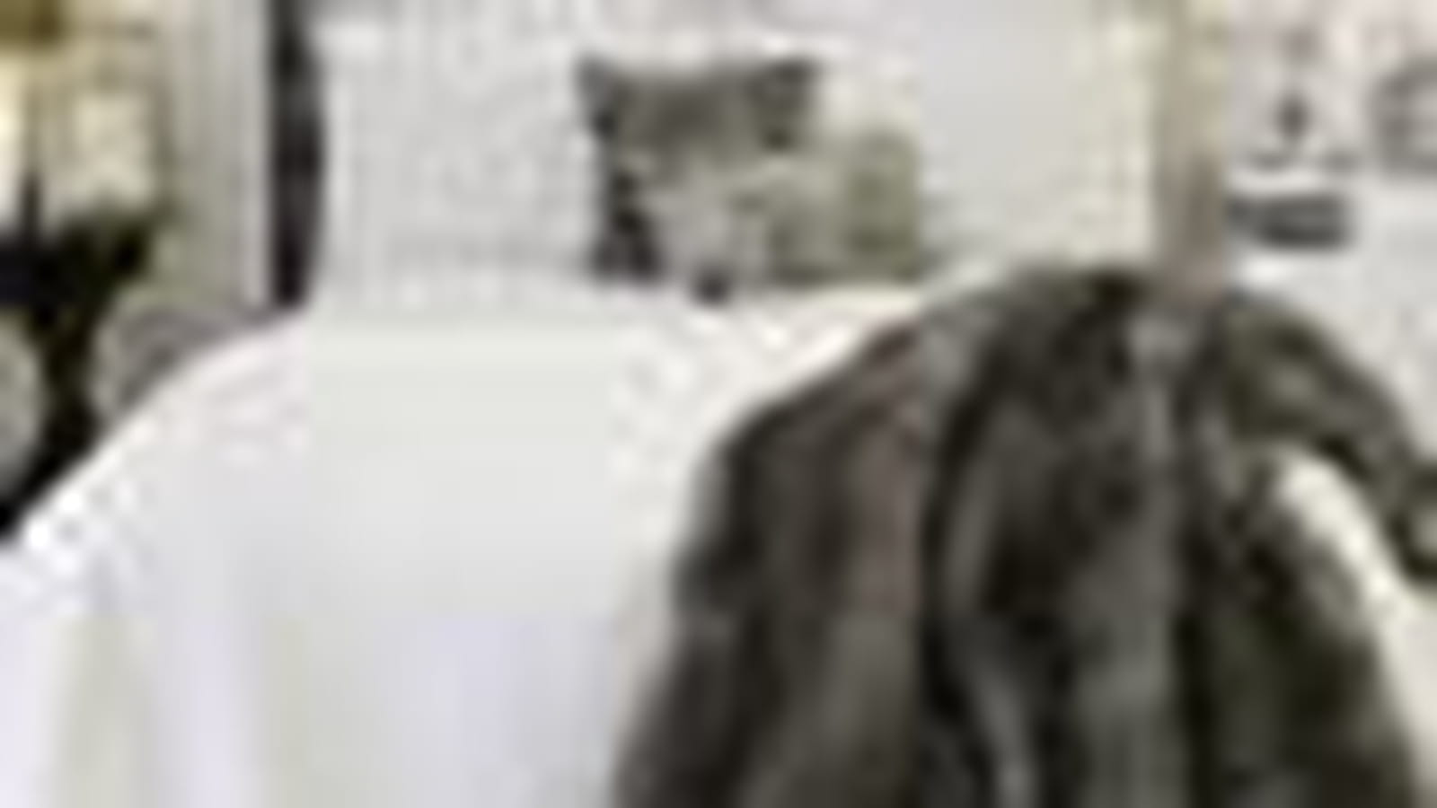 Couverture de Zara Home