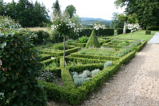 Un parterre de plantes odorif&eacute;rantes