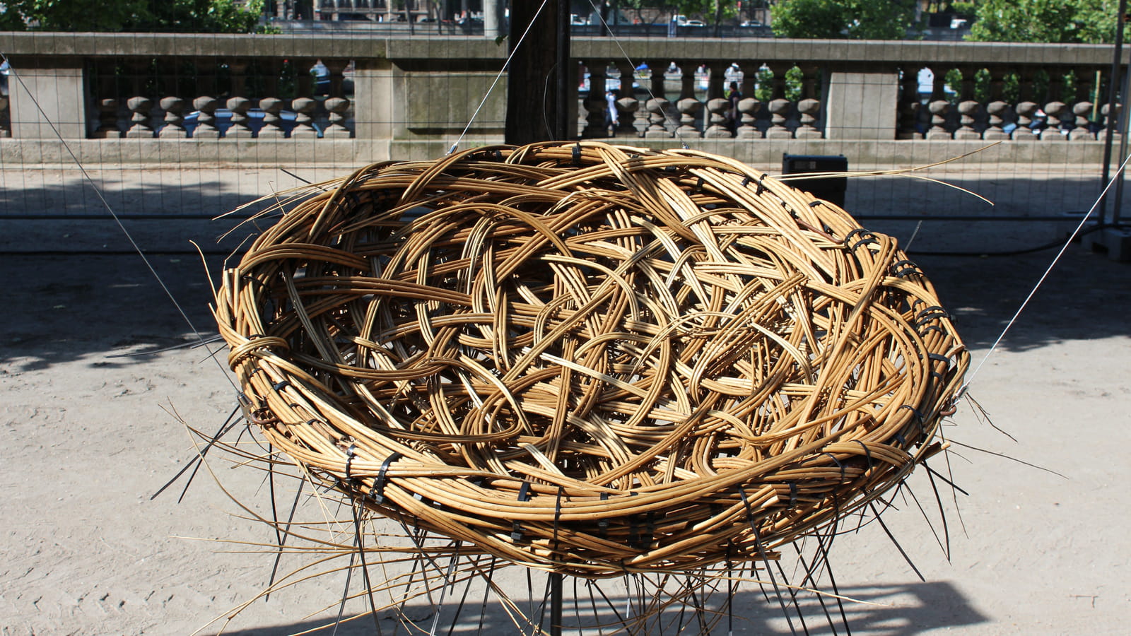 Swing Nest