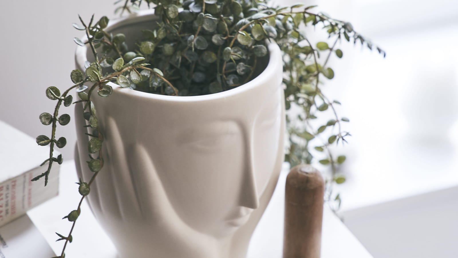 Cache-pot Zodio
