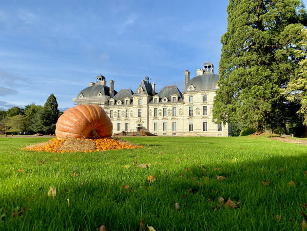 Une citrouille g&eacute;ante spectaculaire