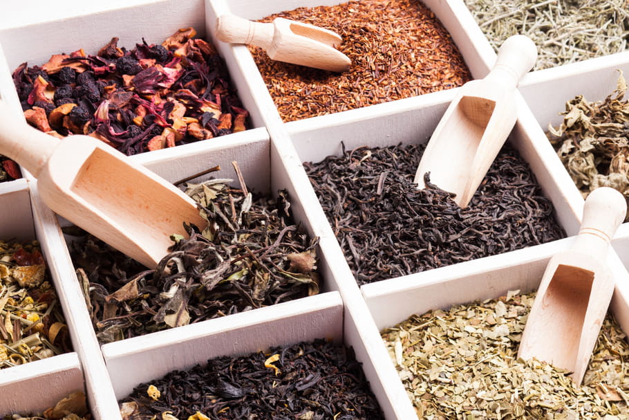 Thé noir, matcha, Rooibos, blanc, vert : bienfaits et différences