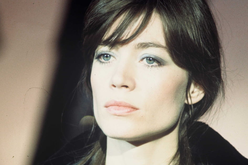 Le fard &agrave; paupi&egrave;res iris&eacute; de Fran&ccedil;oise Hardy