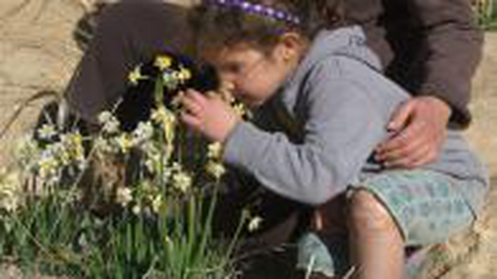 Hilla, une fleur parmi les fleurs