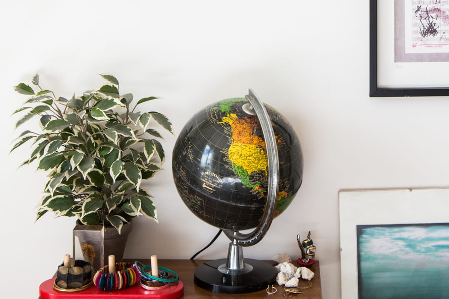 8 plantes d'intérieur à faire pousser chez soi