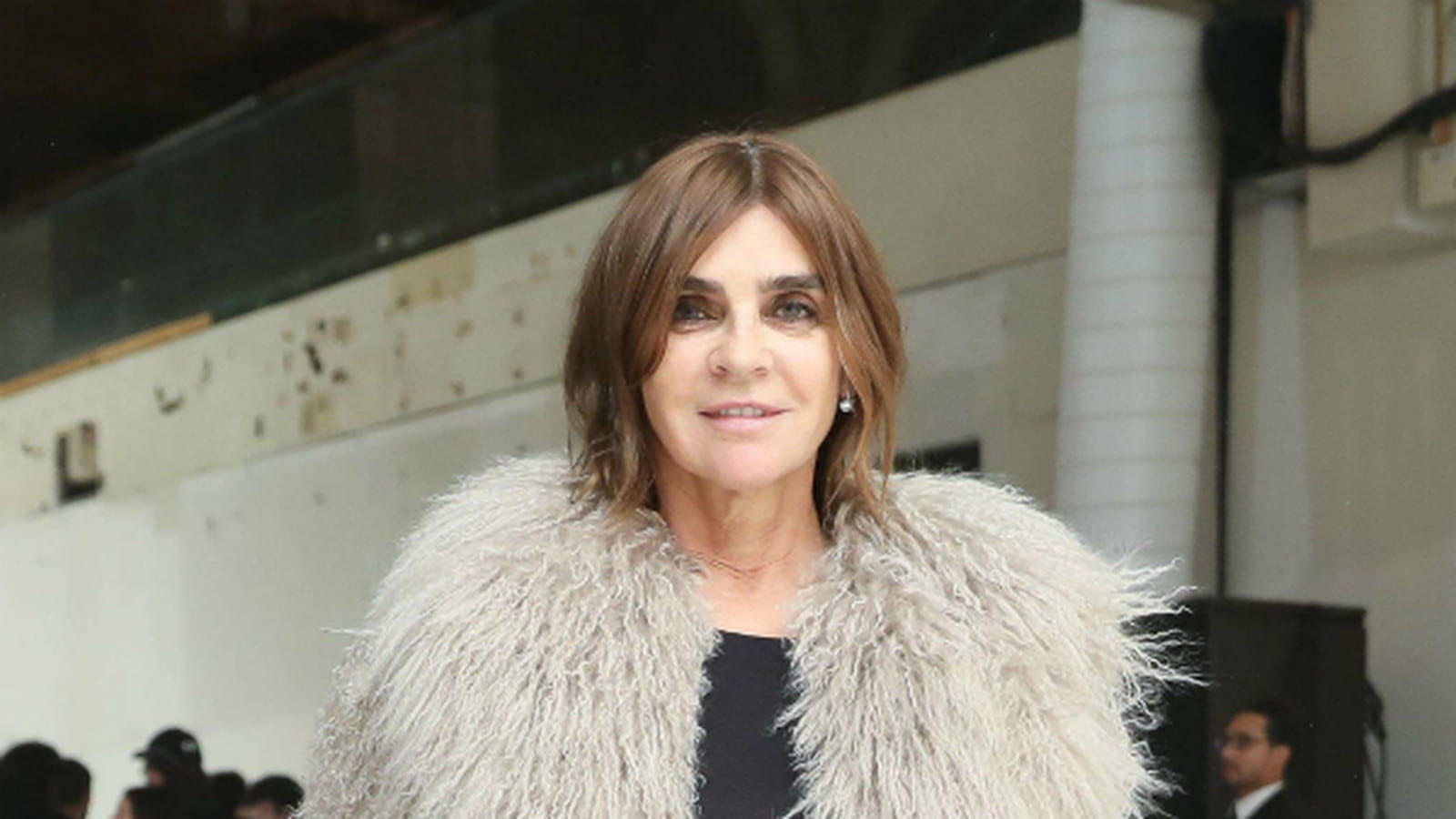 Carine Restoin-Roitfeld