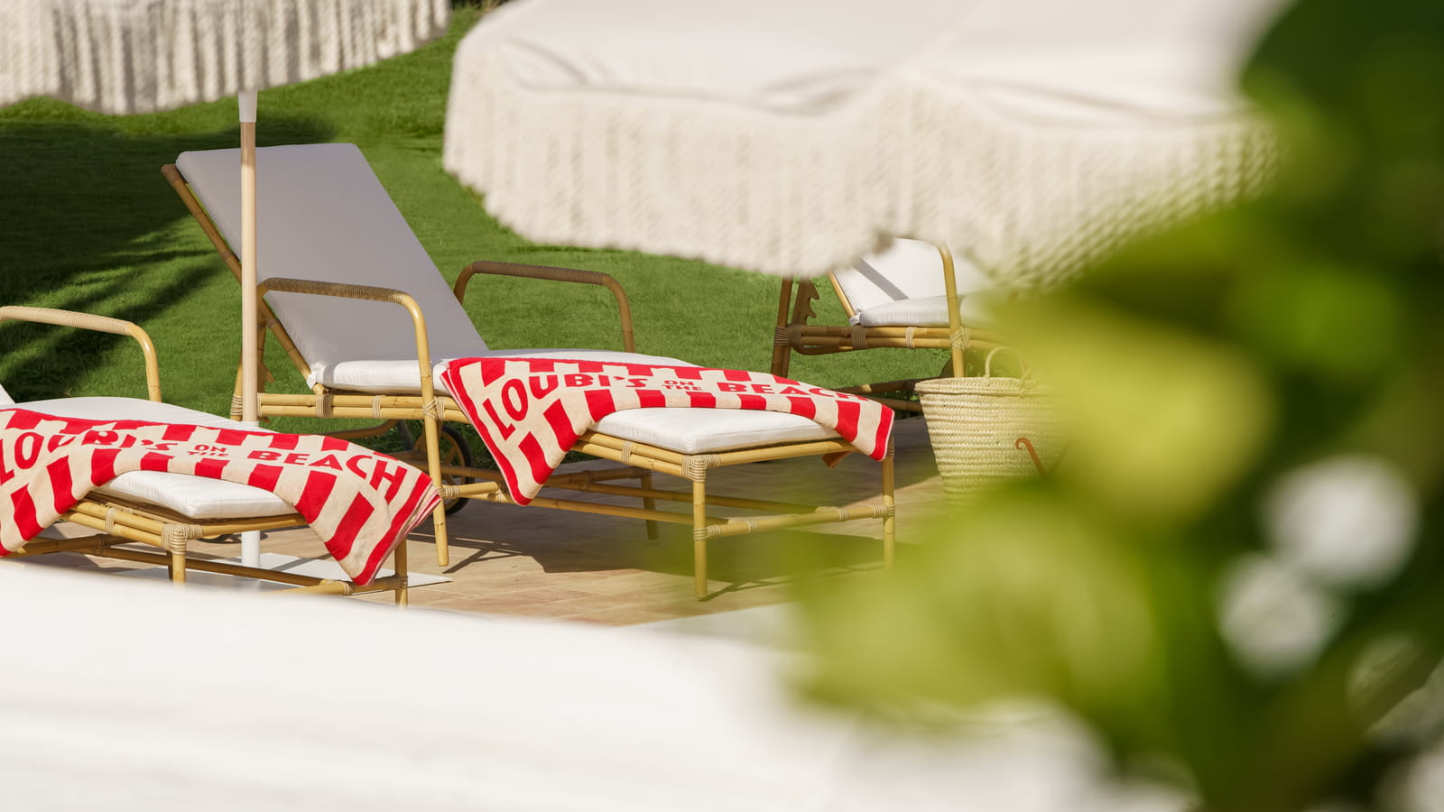 Jardin