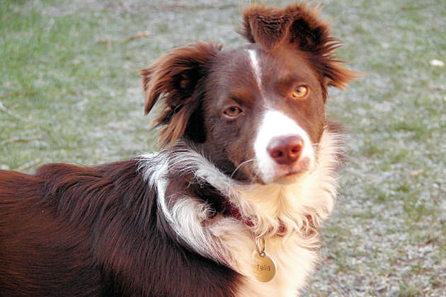 Talia, regard tendre