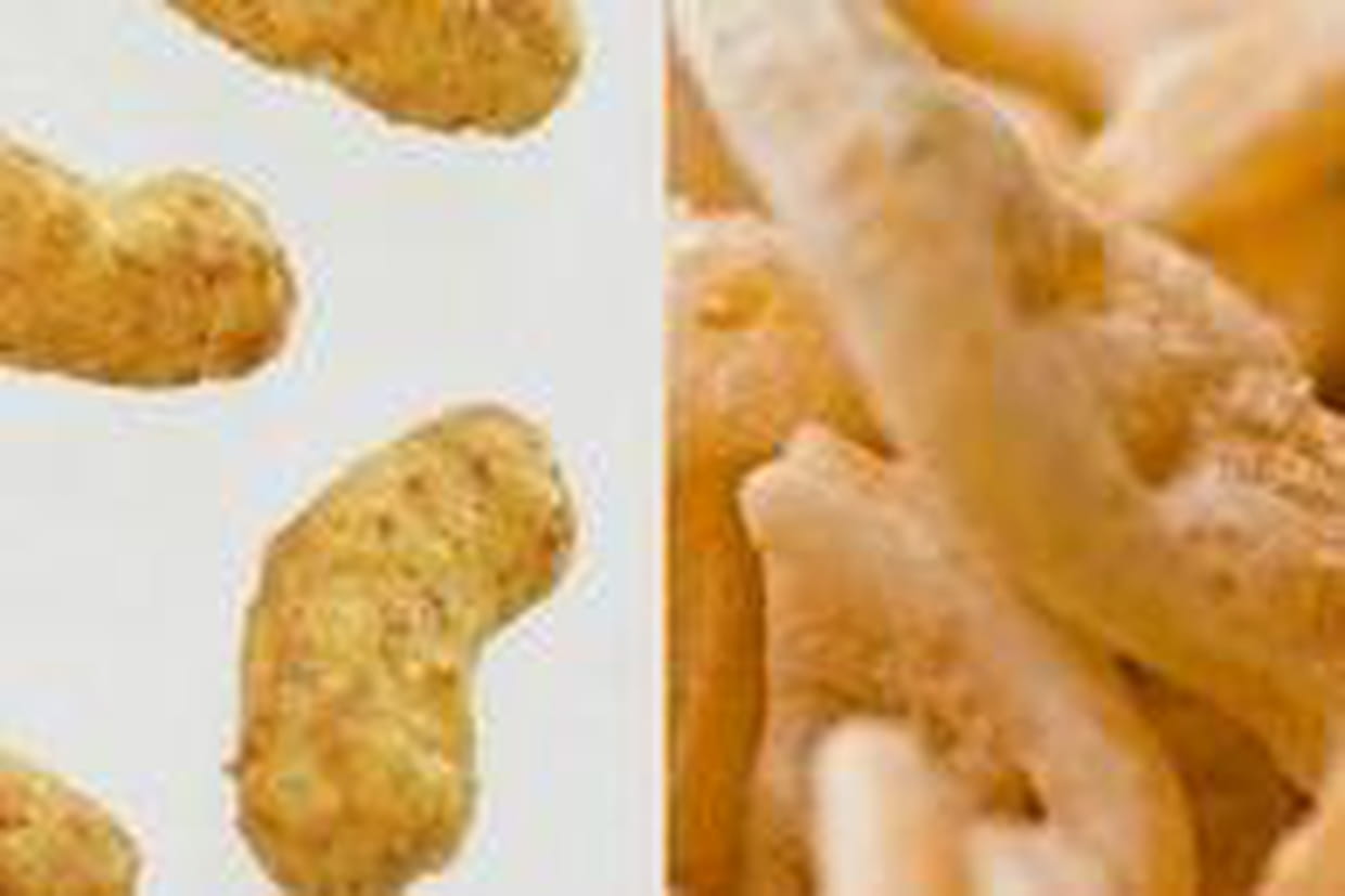 Les Curly Contre Les Monster Munch