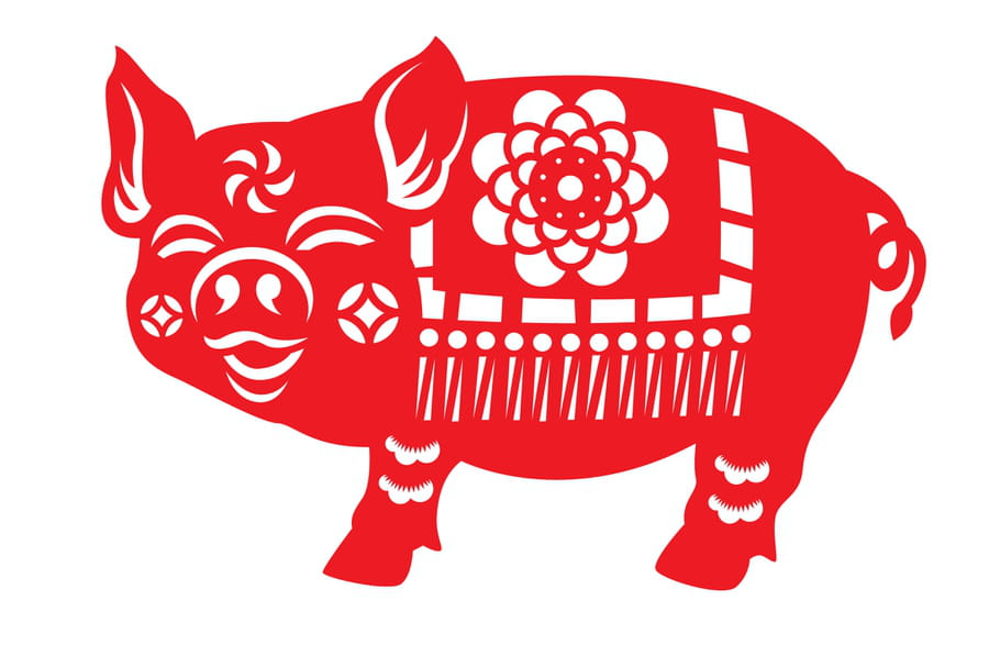 Horoscope chinois Cochon de l'année 2021