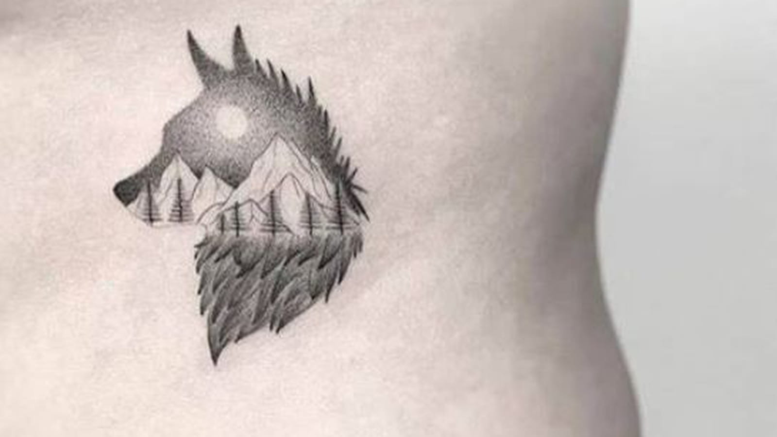 Loup de montagne sur le flanc
