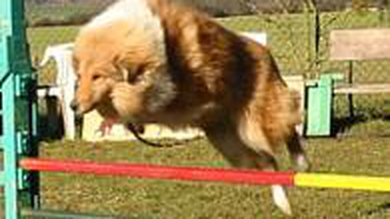 Agility